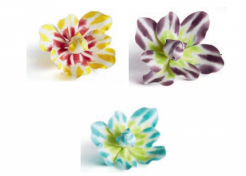 Fiore grande sfumato